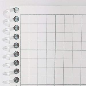 Latex-Free Cleanroom Notebook with Engineering Grid
