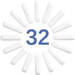 ONiLAB 32PCS Magnetic Stirring Rods Set