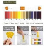 3 Pack pH Test Paper Strips with Storage Case