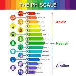 6 Pack Universal pH Test Strips with Pipettes
