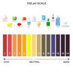 4 Pack Universal pH Test Strips 1-14