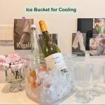 Yamteck Portable Ice Bucket with Lid and Tongs