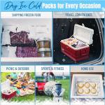 Flexible Dry Ice Packs for Shipping Frozen Food