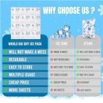 Flexible Dry Ice Packs for Shipping Frozen Food