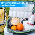 Flexible Dry Ice Packs for Shipping Frozen Food