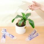 20-Pack 1ml Plastic Syringes with Caps