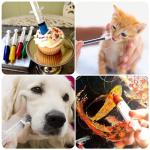 Otwooi 18 Ga Blunt Tip Syringe Set