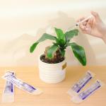 Pack of 10 Sterile 3ml Syringes with Caps