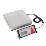 Taylor General Purpose Utility Bench Scale with LCD