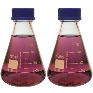 500ml Graduated Erlenmeyer Flask with Blue Caps