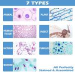 200 Microscope Slides Set: Plants & Animal Tissues