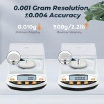 High Precision 500g Analytical Balance Scale