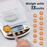 High Precision 500g Analytical Balance Scale