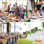 Stainless Steel 8 Qt Chafer Buffet Set