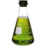 500ml Corning Pyrex Erlenmeyer Flask with Stopper