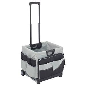 ECR4Kids Rolling Cart with Canvas Organizer Bag
