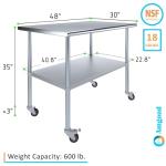 30" x 48" Stainless Steel Rolling Work Table