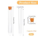 28PCS Clear Plastic Test Tubes with Lids
