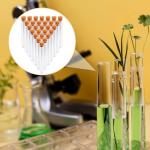 28PCS Clear Plastic Test Tubes with Lids