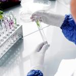 28PCS Clear Plastic Test Tubes with Lids