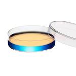 Maccx 10 Pack Sterile Plastic Petri Dishes