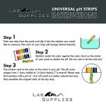 Universal Plastic pH Test Strips (100 Count)