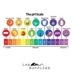 Universal Plastic pH Test Strips (100 Count)