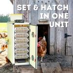 CT180SH Automatic Egg Incubator with Humidity Control