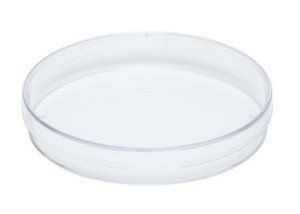 10 Pack Sterile Thick Plastic Petri Dishes