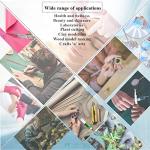 100 Surgical Sterile Blades #25 with Scalpel Handle