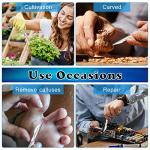 40 Surgical Scalpel Blades with Handles and Storage Box