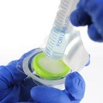 Sterile PES Syringe Filters, 0.45 µm, 20 Pack