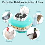 Automatic Egg Incubator with Egg Turner & Candler