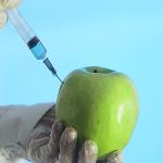 5ml Syringes, Individually Wrapped, 50 Pack