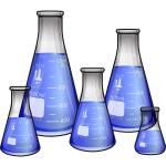 5-Piece Borosilicate Erlenmeyer Flask Set