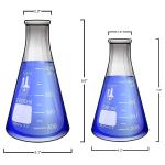 5-Piece Borosilicate Erlenmeyer Flask Set