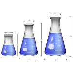5-Piece Borosilicate Erlenmeyer Flask Set