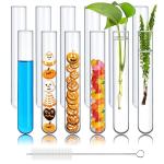 12pcs Glass Test Tubes - 35ml Propagation Set