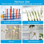 12pcs Glass Test Tubes - 35ml Propagation Set