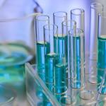 12pcs Glass Test Tubes - 35ml Propagation Set