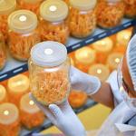 64 Pcs Hydrophobic PTFE Filter Discs for Cultivation