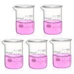 Heavy Duty Glass Beakers Set - 5 Piece