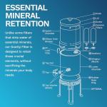 Survivor Filter Stainless Steel Gravity Water Filter