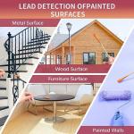 Lead Paint Test Kit - 60 Swabs for Home Use