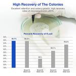 SimPure 47mm 0.45μm Sterile Membrane Filters - 100 Pack