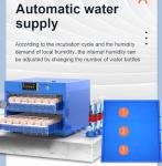 Automatic Egg Incubator with Humidity Control (256 Eggs)