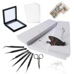 Butterfly Specimen Making Tools for Science Classrooms