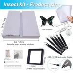 Butterfly Specimen Making Tools for Science Classrooms