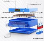 Automatic Egg Incubator with Humidity Control (256 Eggs)