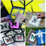 Butterfly Specimen Making Tools for Science Classrooms